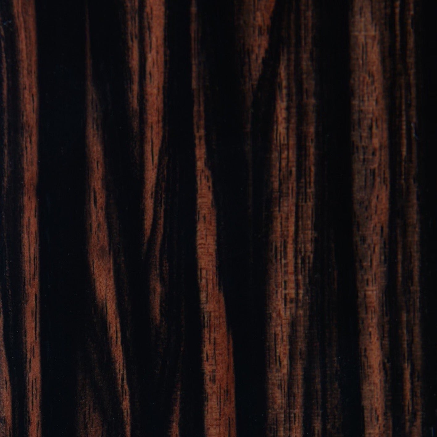 Spider Ebony Macassar