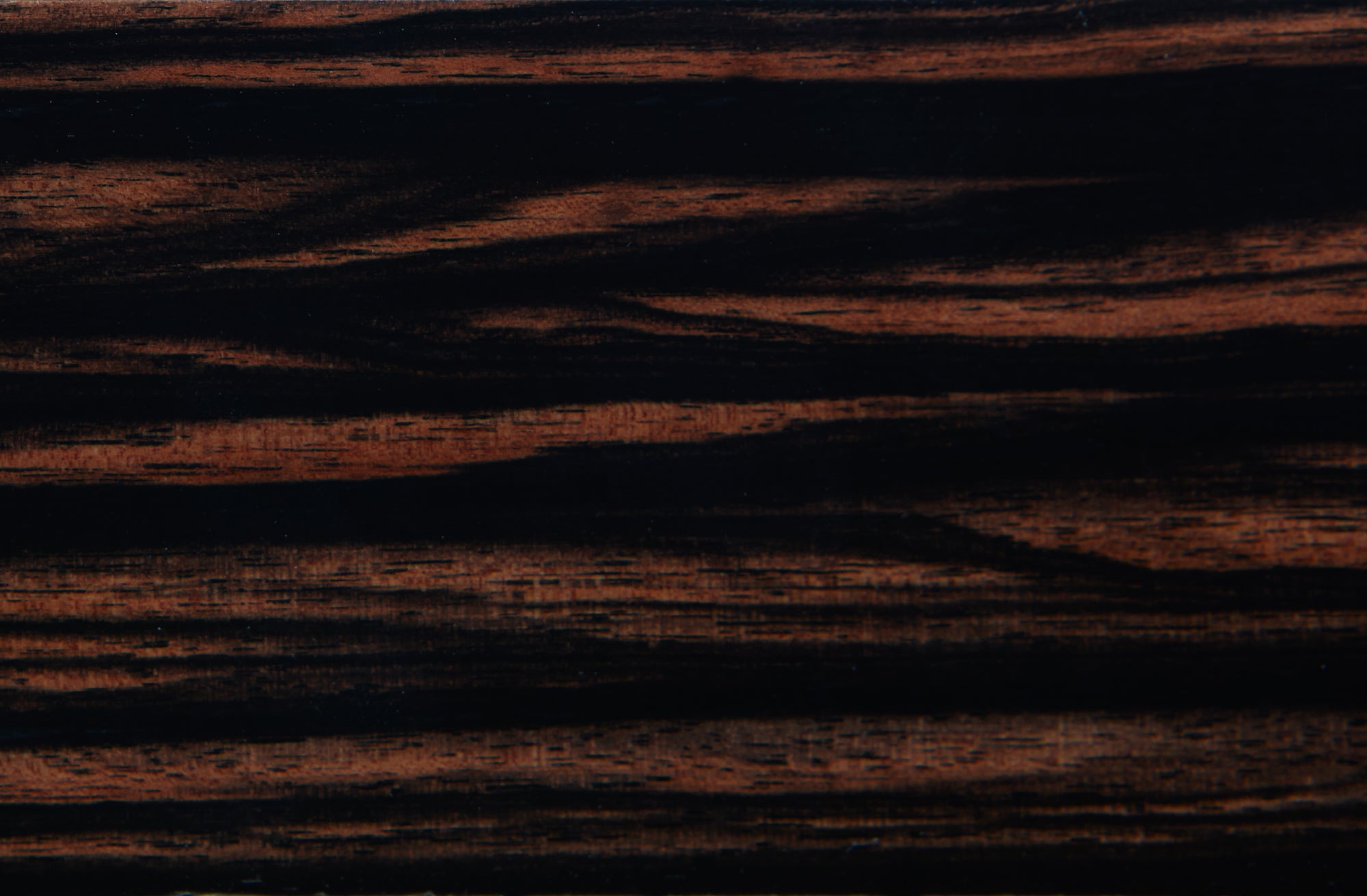 Spider Ebony Macassar Exclusive Creations Watch Box