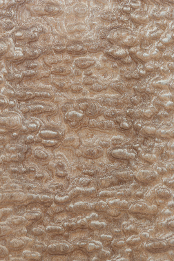 Tamo Ash Exclusive Creations Boutique Tissue Box